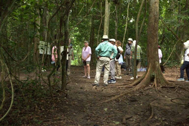 Petit groupe en marche avec guide dans la foret de Kakum
