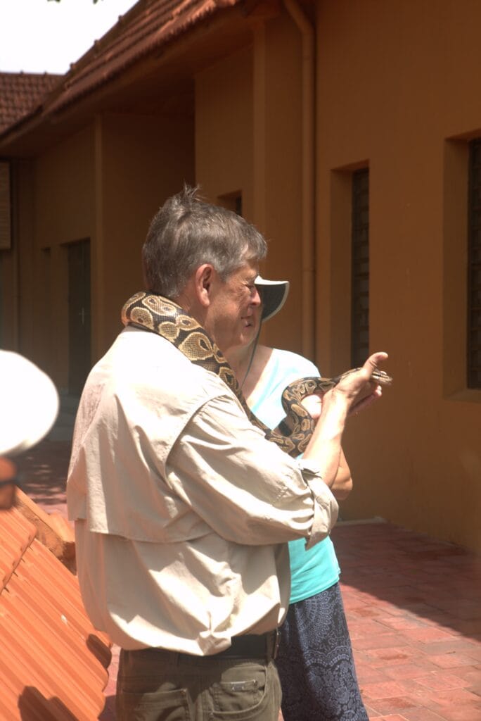 Visiteur portant un python royal au Temple des Pythons d Ouidah