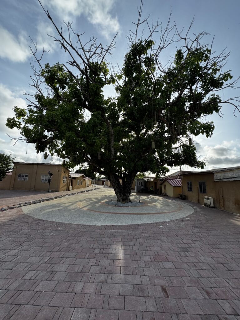 L arbre du Retour a Ouidah, autour duquel les captifs tournaient pour que leur esprit revienne
