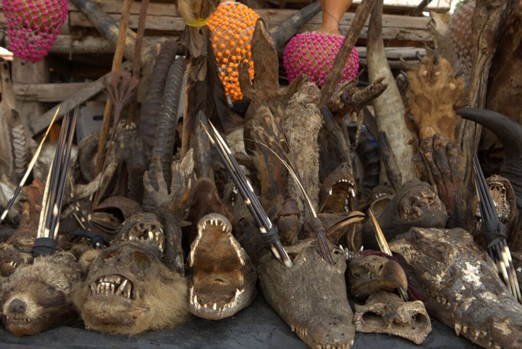 Marche des feticheurs d Akodessewa a Lome, etals rituels