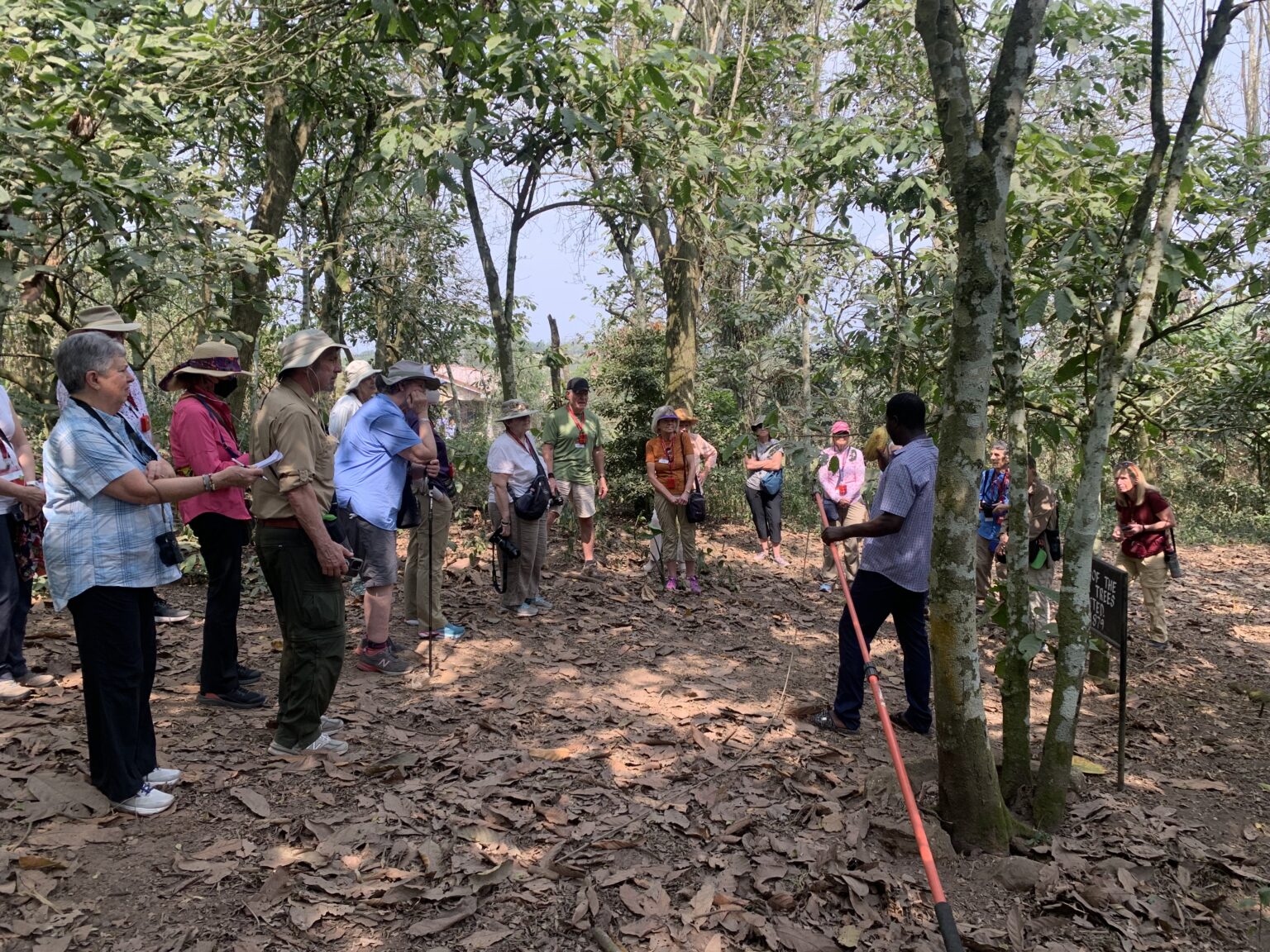 A small Heritage and Routes group walking with their guide in a Ghanaian forest